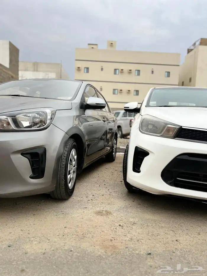 مجموعة بيجاس للبيع 3