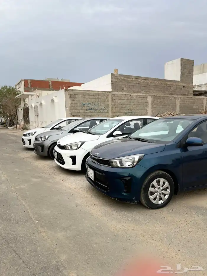 مجموعة بيجاس للبيع 12