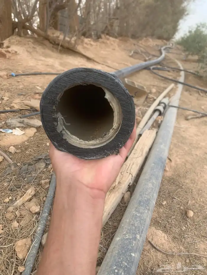 هوز 2