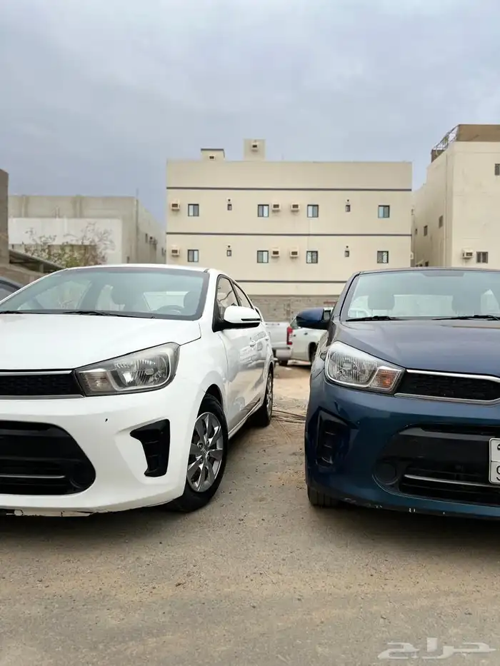 مجموعة بيجاس للبيع 2