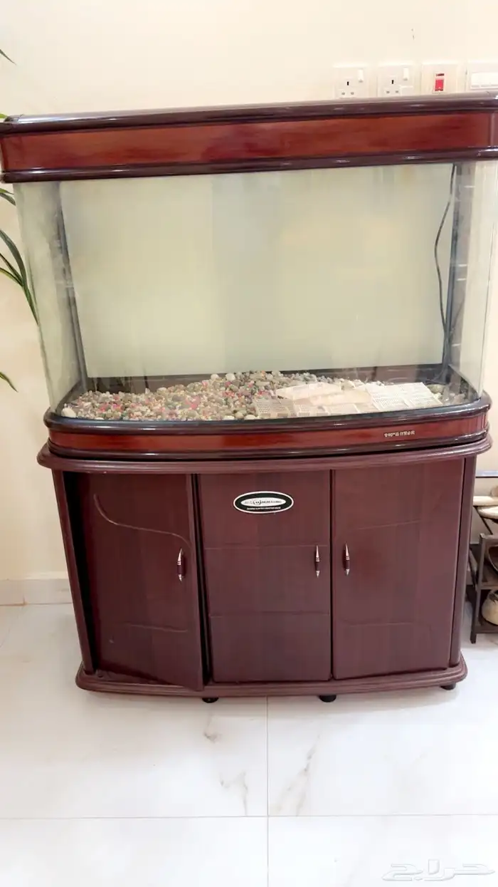 حوض سمك 1