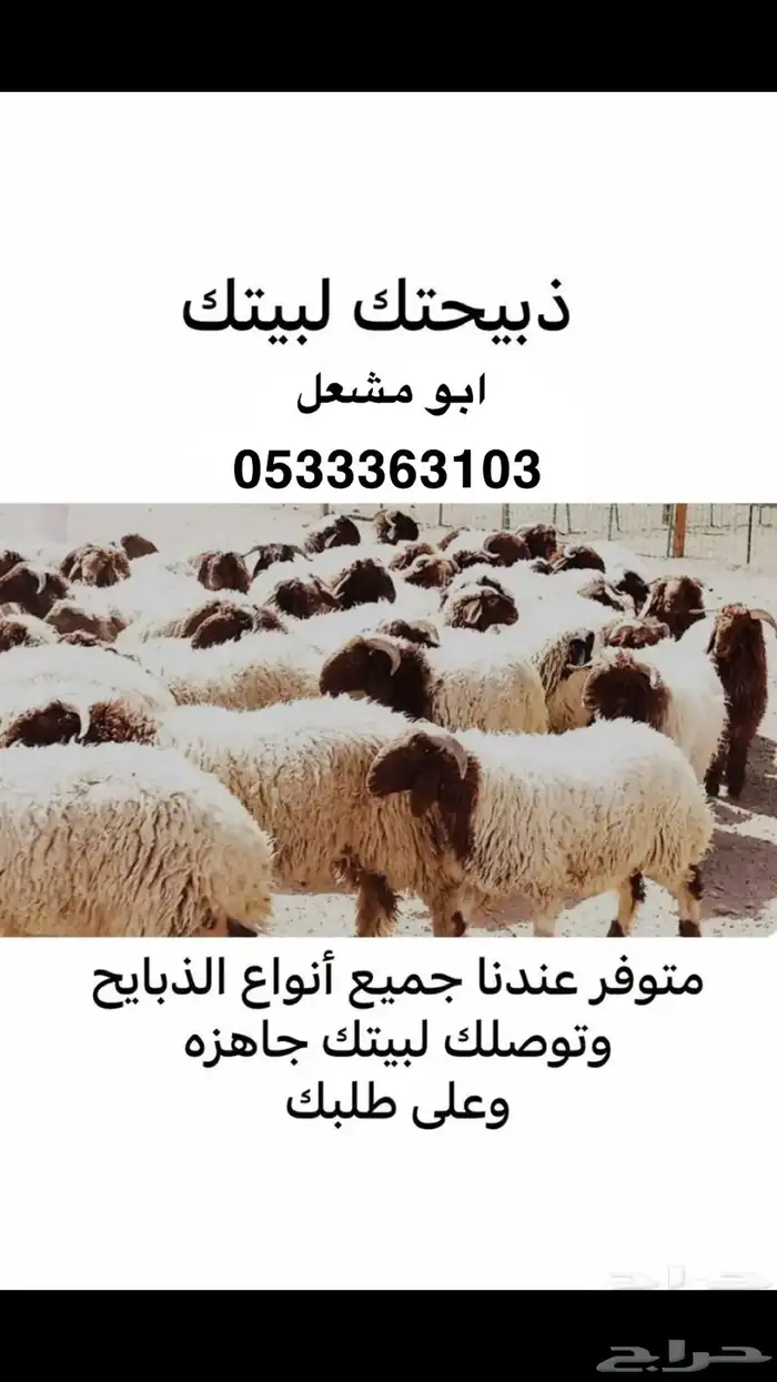 ذبيحتك لبيتك .. الذبايح الفاخرة مع التوصيل 0