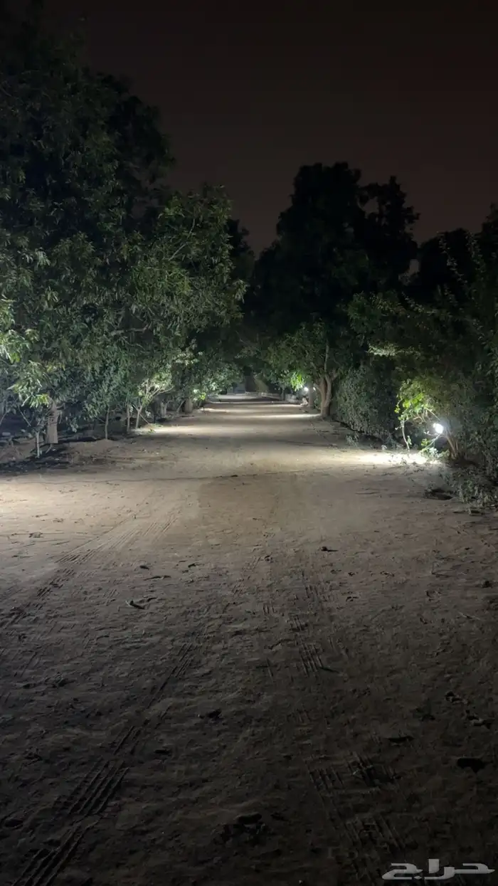 لمحبين تربيت وايواء الخيل والعنايه بها 10