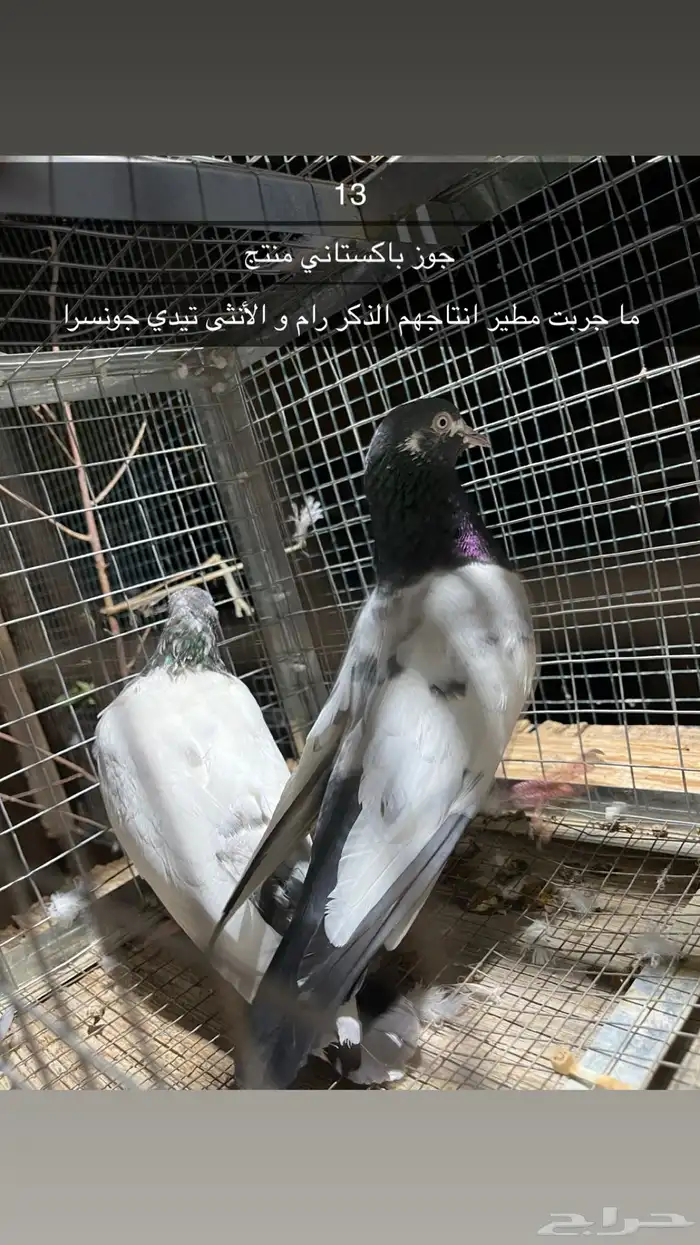للبيع مجموعه حمام 25
