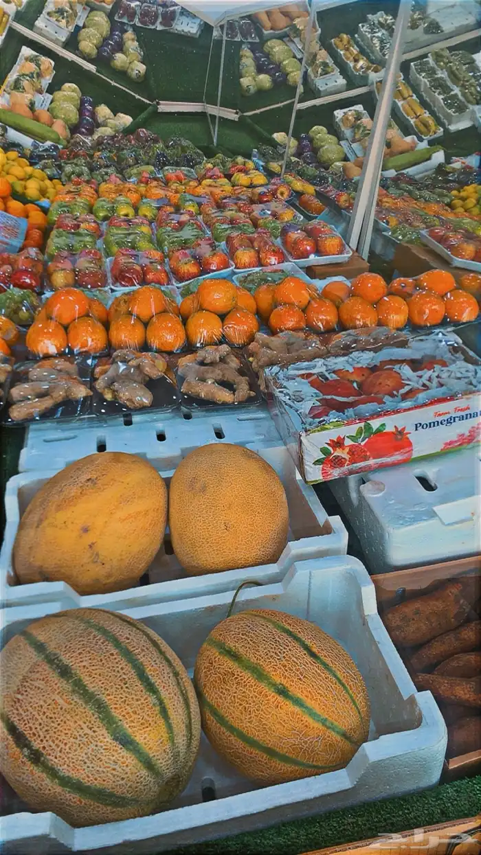 محل خضار للبيع او شريك 8