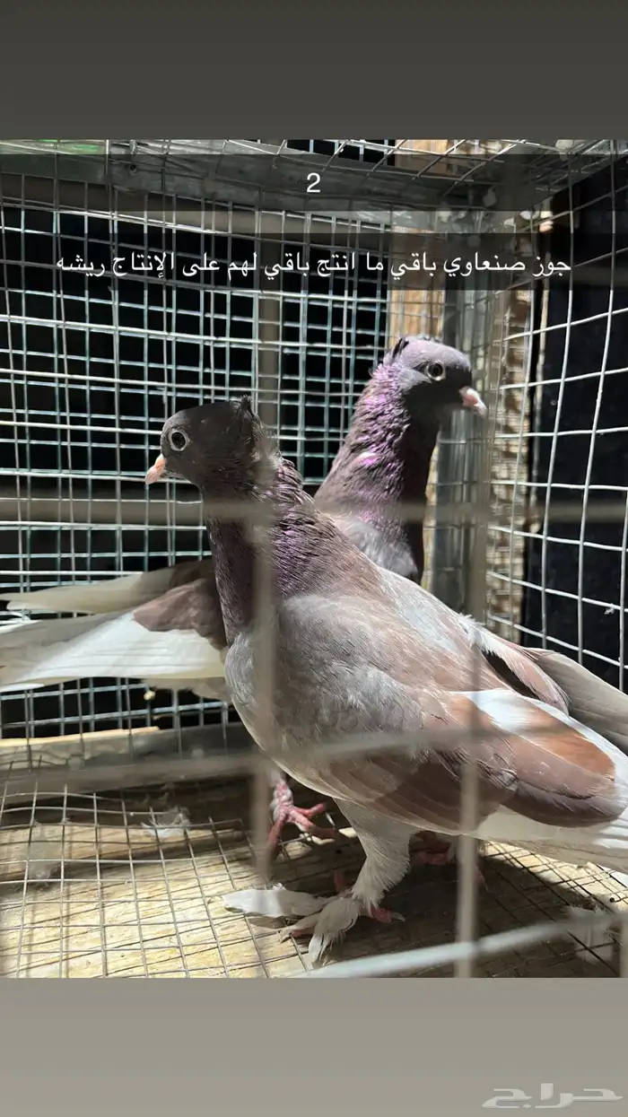 للبيع مجموعه حمام 2