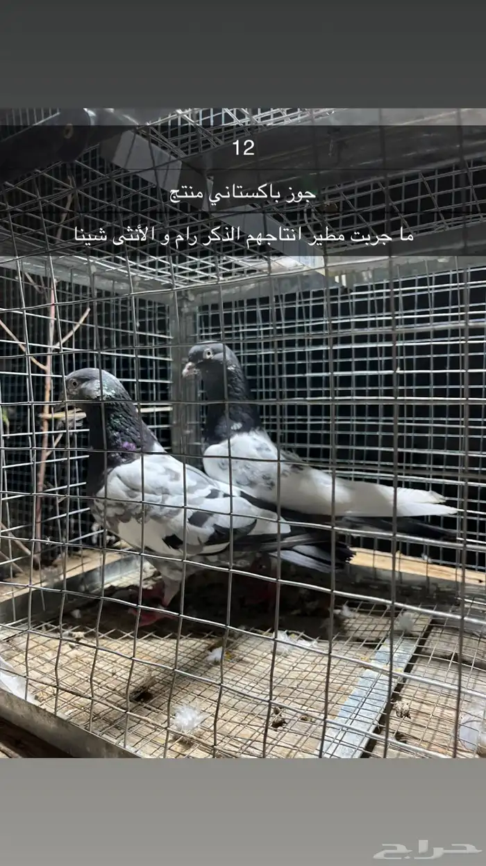 للبيع مجموعه حمام 23