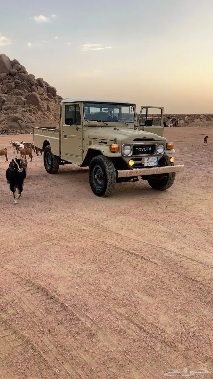 شاص 5