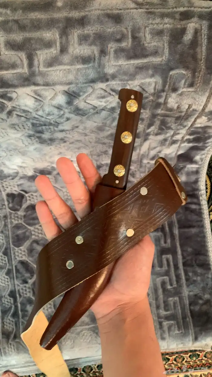 جنبية جنوبية دس شفرة 3