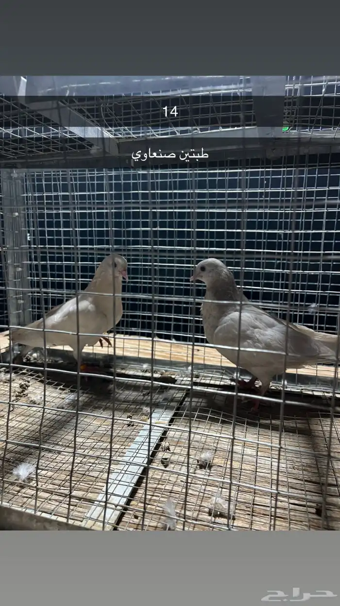 للبيع مجموعه حمام 27