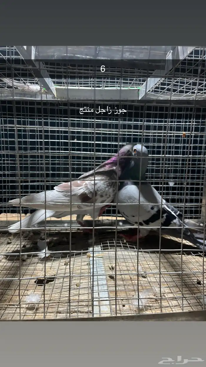 للبيع مجموعه حمام 10