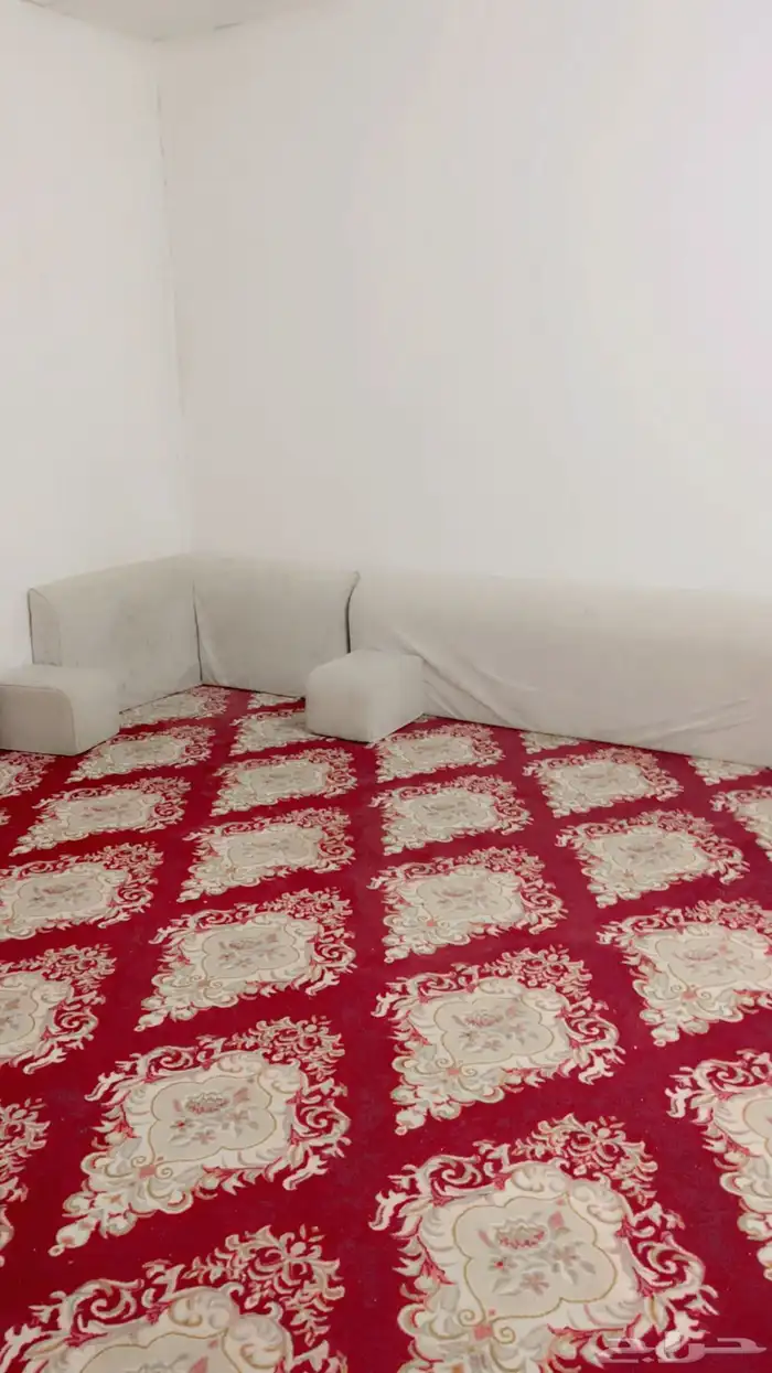 شقه للايجار بالزاهر  الخرج 3