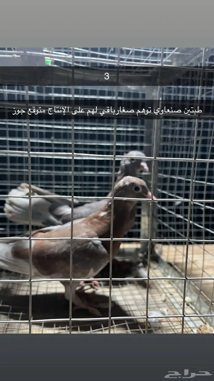 للبيع مجموعه حمام 4