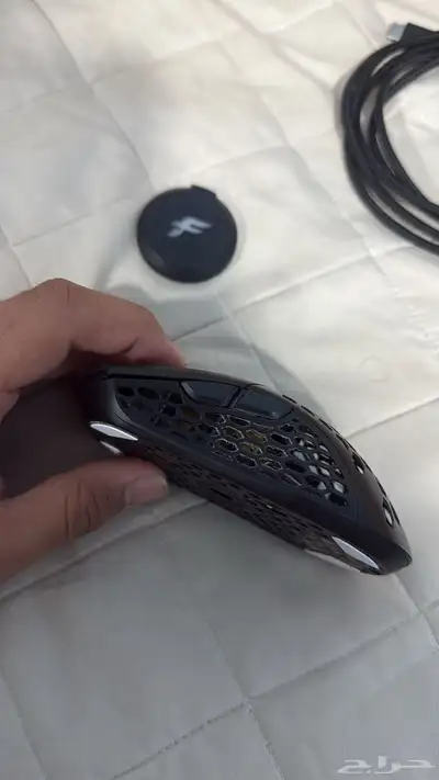 Final mouse lion guardian 2024 index