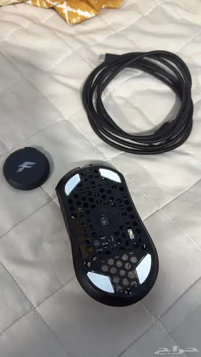 Final mouse lion guardian 2024 index
