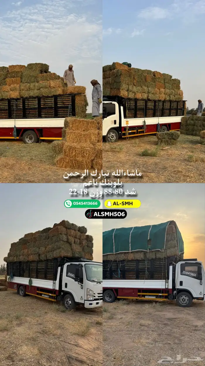 بلوبنك تلبن جديد وناعم ورق شد من 80-88 3