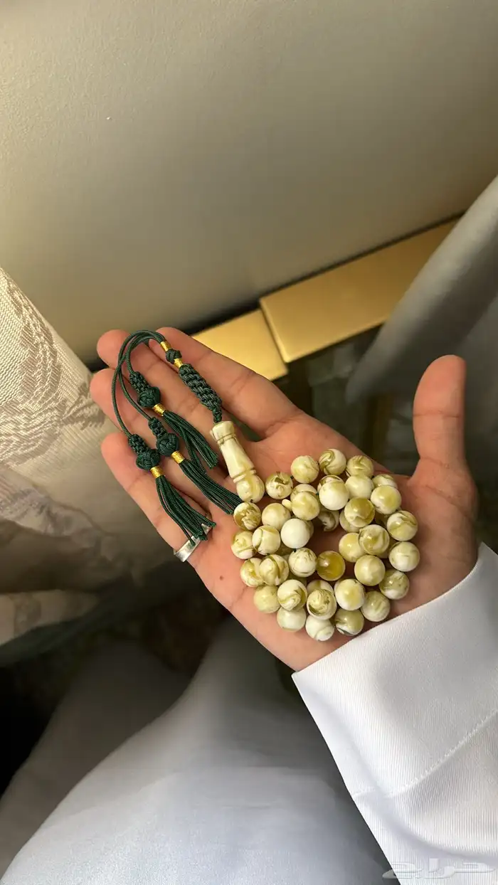 سبح كراكيش جمله 0