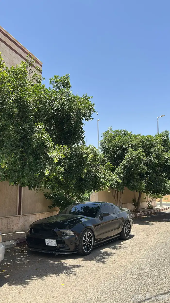 موستنج بريميوم قير عادي 0