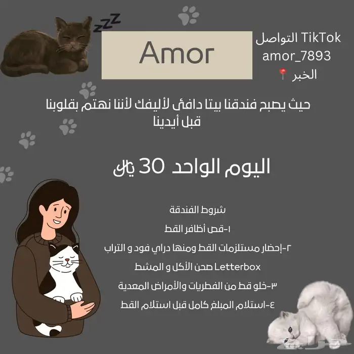 فندقة قطط 0