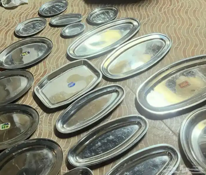 صحون سرويس استيل 10