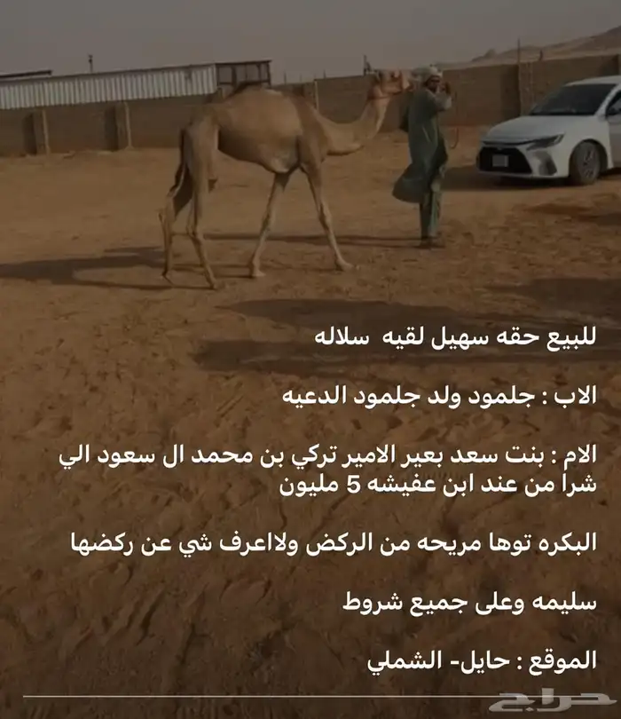 مطقيه 0