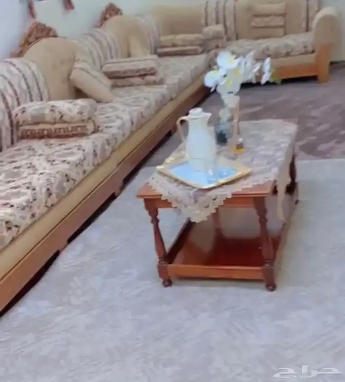 كنبات لبيع 10قطع 0