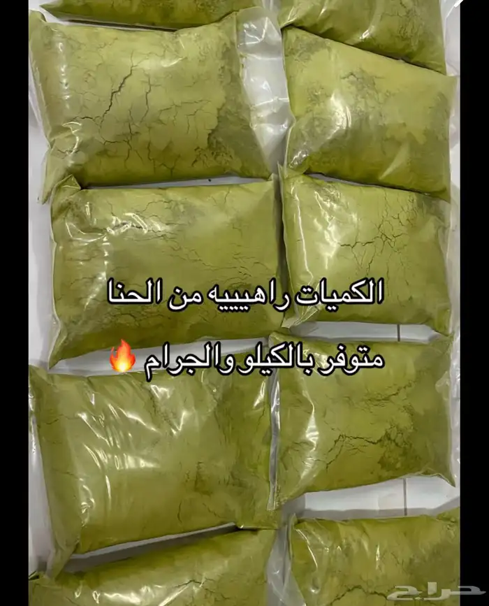 حناء المدينه 1