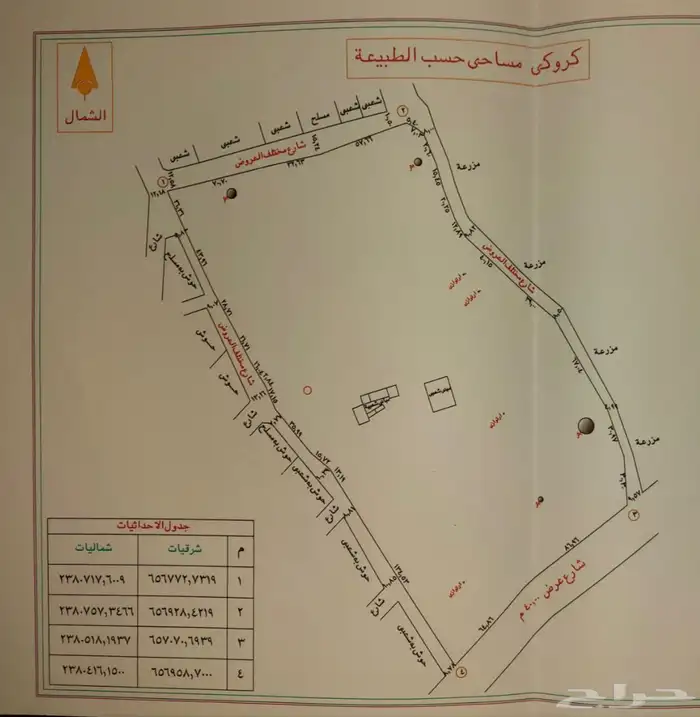 ارض للايجار بالطائف مساحة 51 الف على شارع تجاري 1