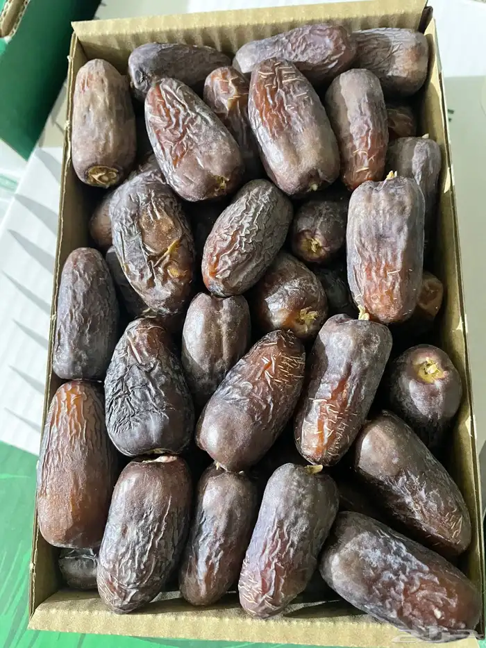 تمور المدينة 9