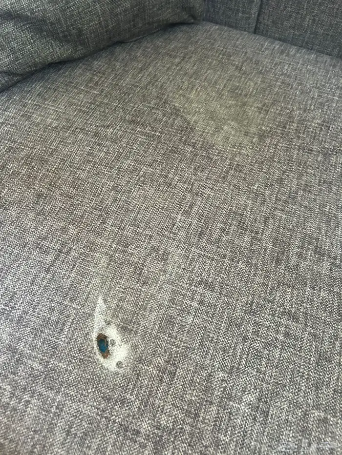 كنب كبير وشاشه 50 بوصه 6