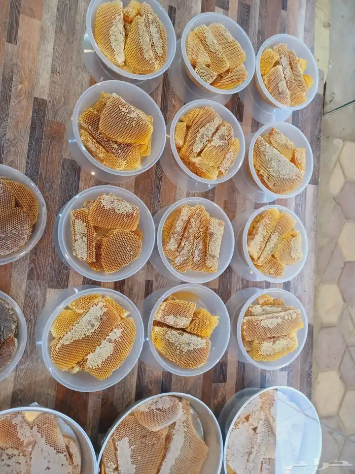 عسل سدر هذا العام وعسل طلح وسمر 5