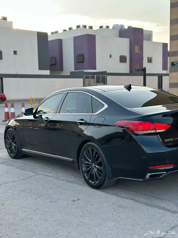 جنسس 8
