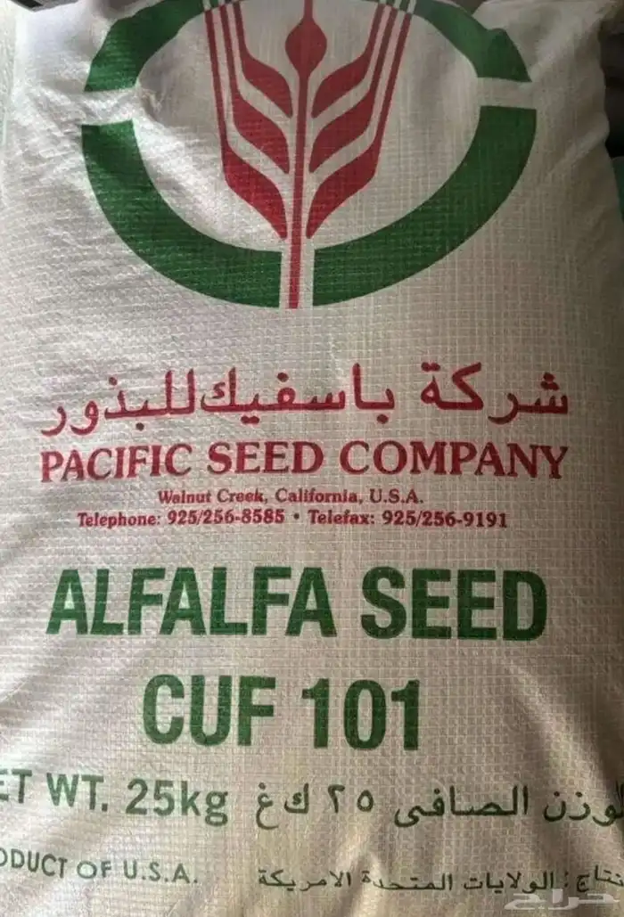 بذور برسيم 1