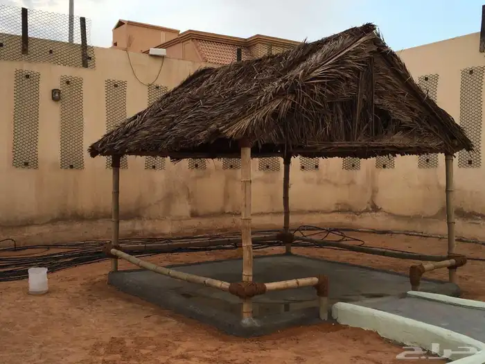 مضلات 2