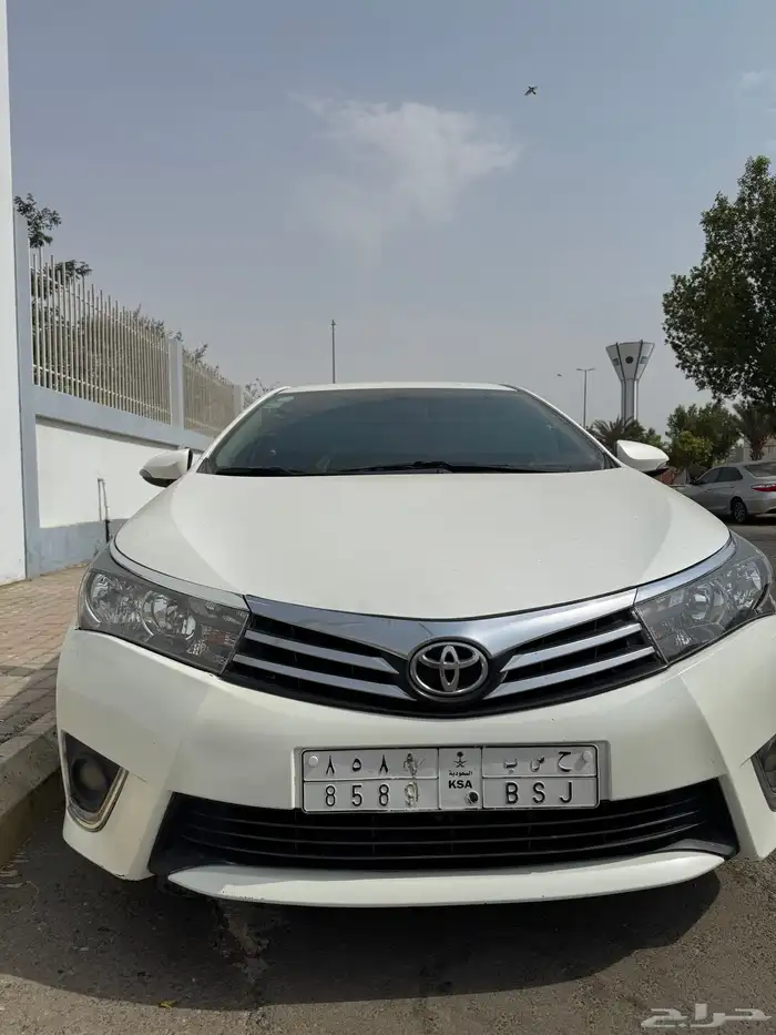 كوريلا XLI 1