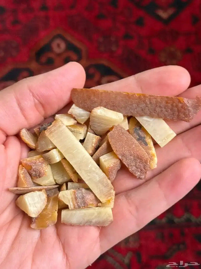 مسباحين كهرمان حجر واحد 8
