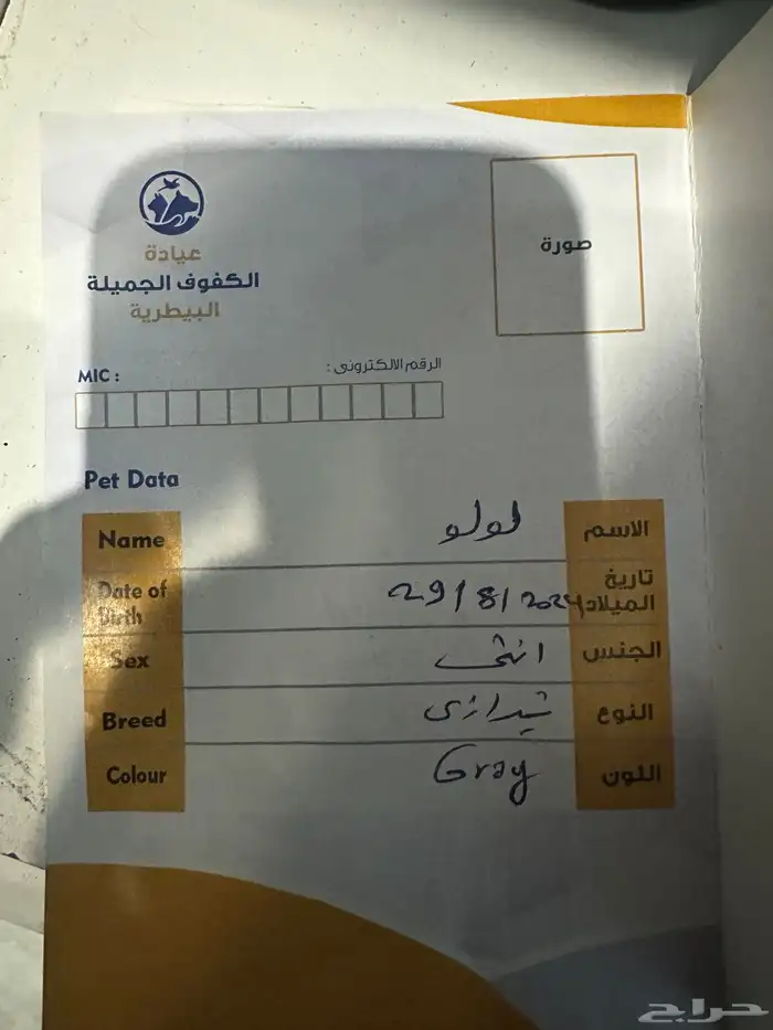 قطه 3