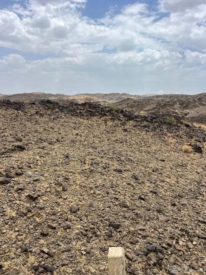 ارض للبيع شمال ابها شوحط مخطط 1180 بجوار الاسكان 3