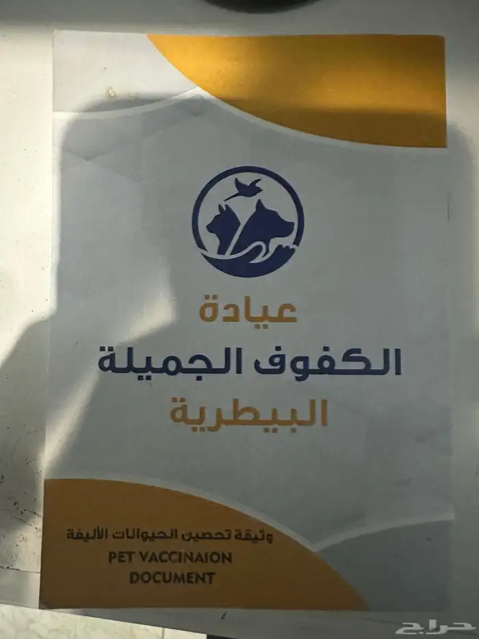 قطه 2