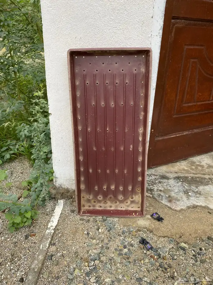عرض صحون استنبات. شبه الجديد 2