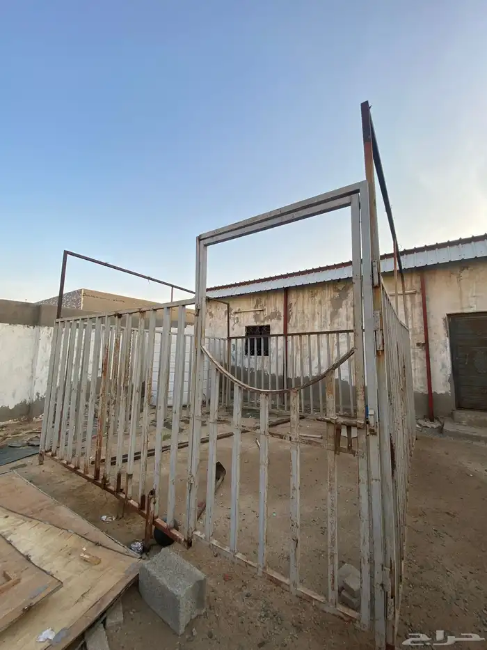 بايكة خيل للبيع 1