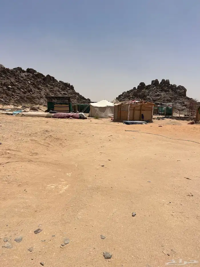شعب مراح بمشروع دواجن 5