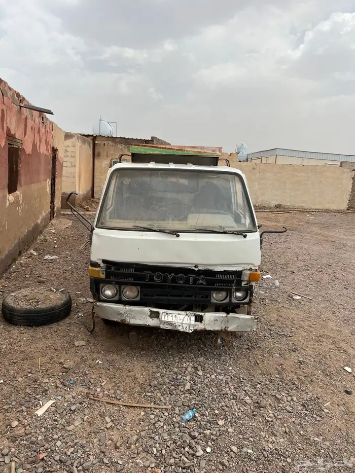 وايت دنه شاص طويل 0