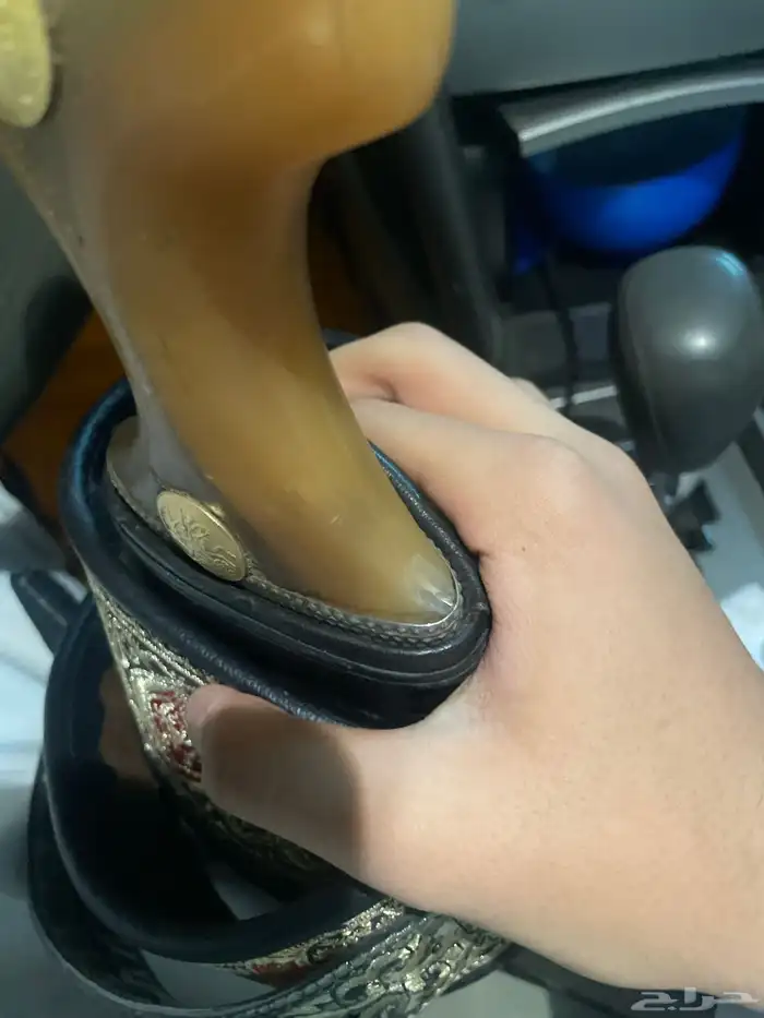 جنبيه مشرقي فيبر 2