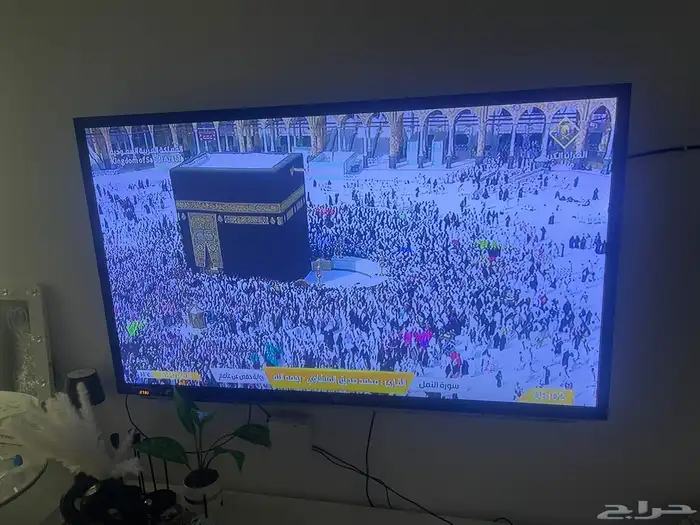 تلفزيون 1