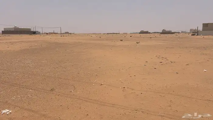 ارض للبيع بالجله تبراك 0