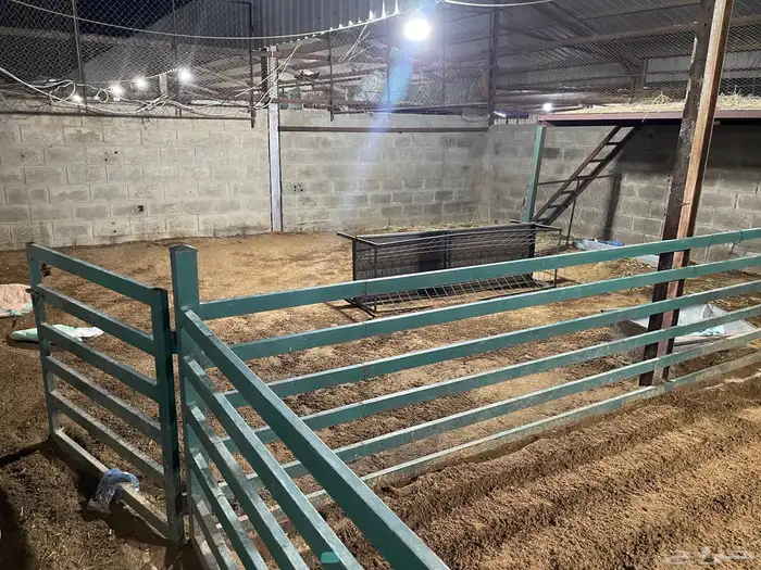 حوش حضيرة شبك بسعر مغرري 1
