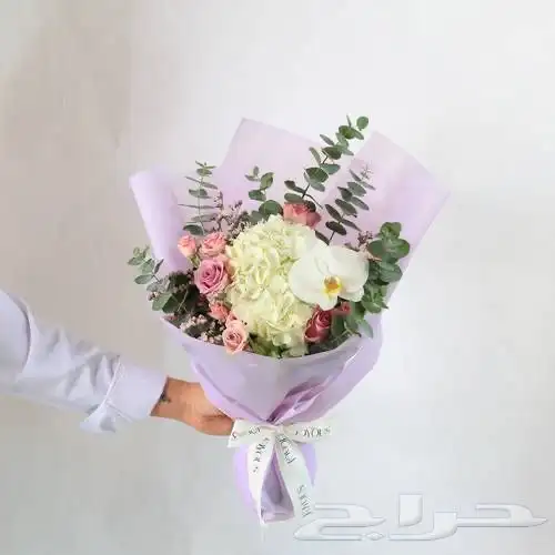 مندوب سريع والدفع بعد الخدمة 0