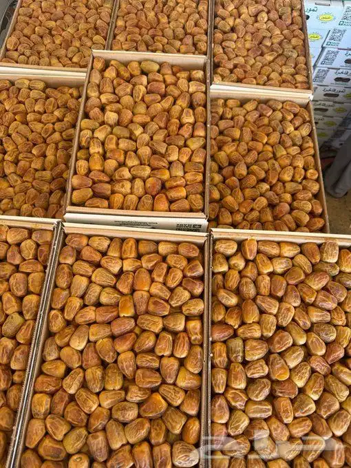 تسويق الصادرات مثل التمور وغيرها 0