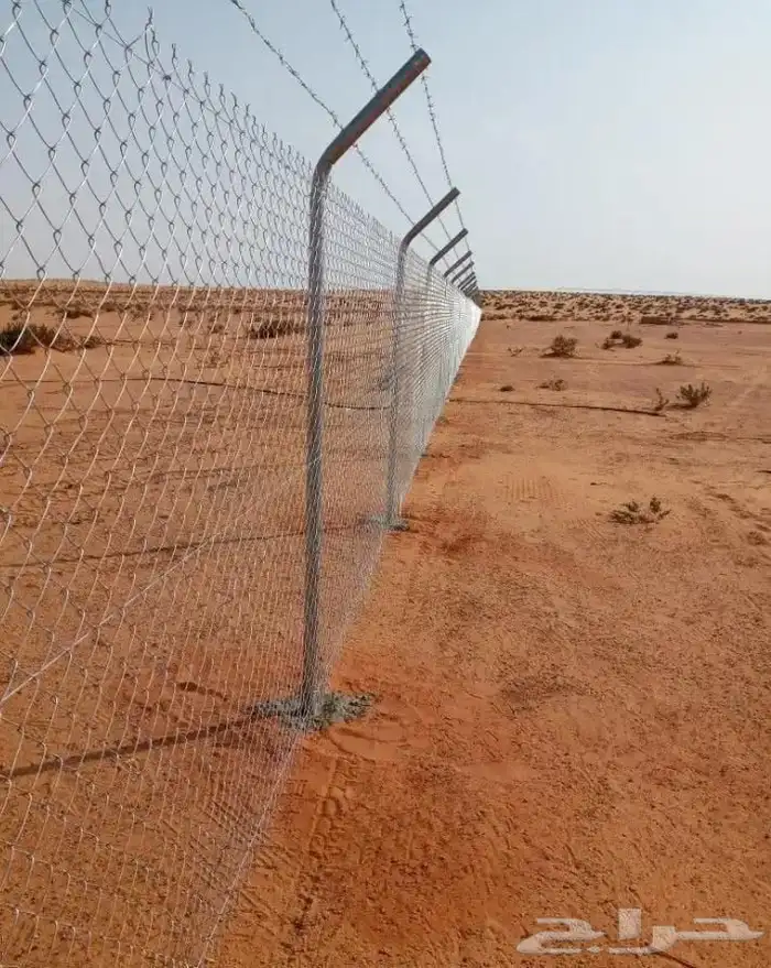 يوجد لدينا شبك ونخل زراعه نخيل عربي شبوك 4